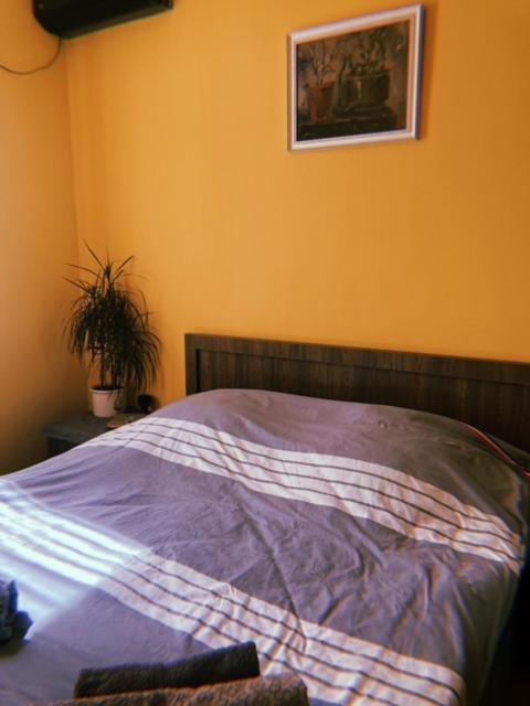 Home Away Home In Heart Of Тбилиси Экстерьер фото